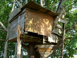 This is our self-made treehouse. A few weeks ago we renovated it. Now it shines in new glory!